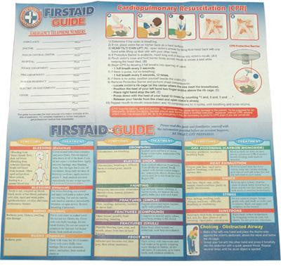 100 First Aid Guides