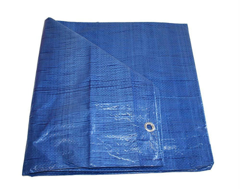 Tarp